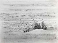 Tekening van helmgras op het strand.